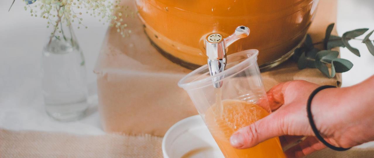 Beverage and Food Dispensers Freudenberg FST