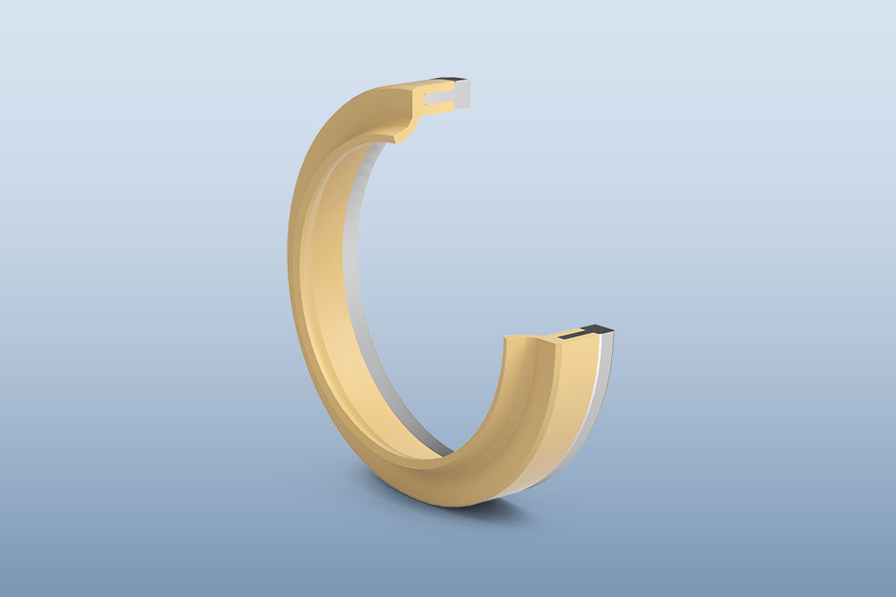 Radial Shaft Seal