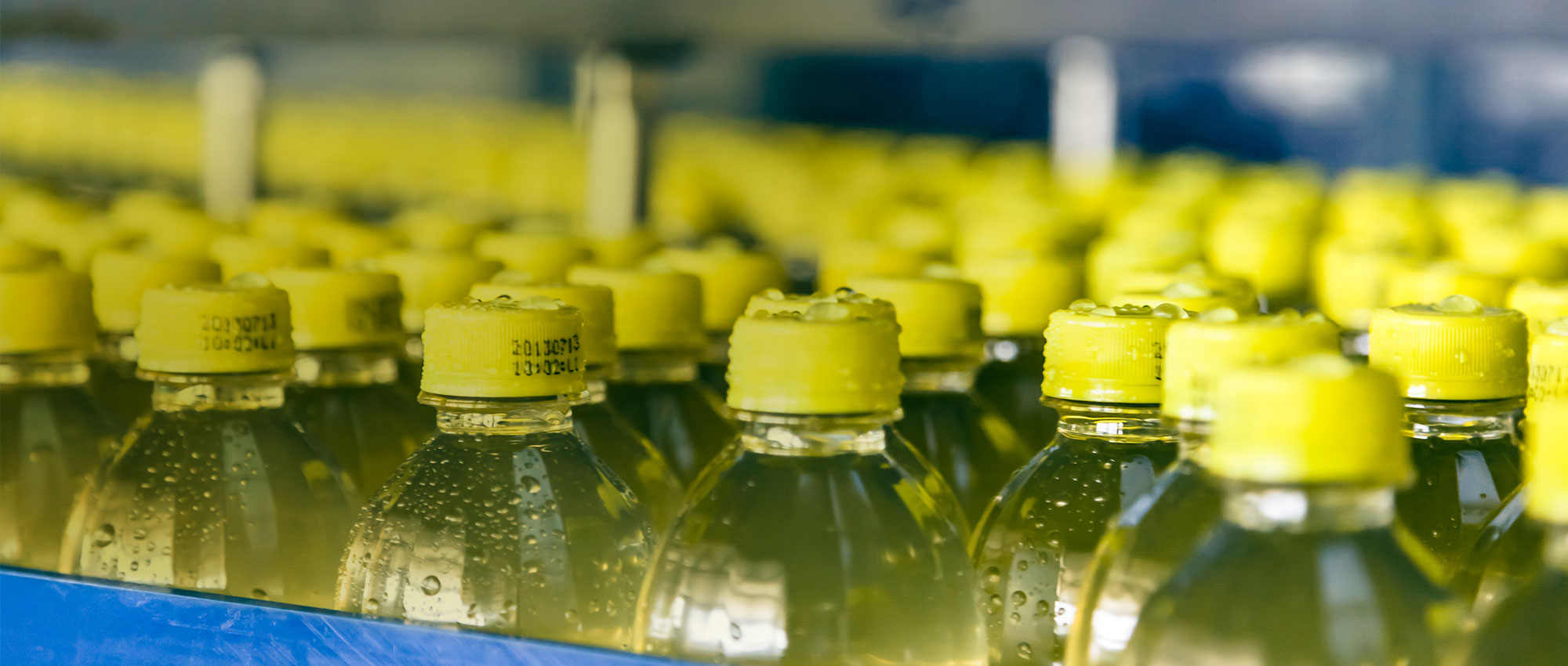 A lot of yellow bottles with yellow bottle caps. Background is blurry.